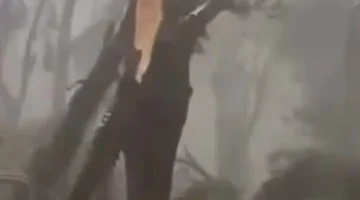 انقطاع الكهرباء في ساو باولو يؤثر على حياة 4 ملايين شخص ويكشف تحديات البنية التحتية برقياً 1